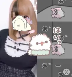ノエミー　NOEMI　お嬢さんバックレースアップフレアスリーブカットソー