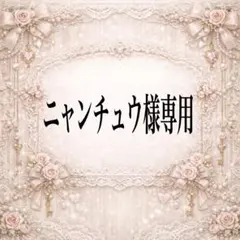 ニャンチュウ様専用