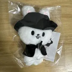 StrayKids スキズ SKZOO COSTUME PLUSH リービット