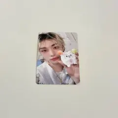 ペンミ ハンジソン StrayKids スキズ トレカ STAYZONE skz - メルカリ