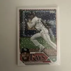 2025年最新】アロサレーナの人気アイテム - メルカリ