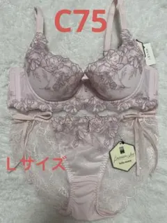 Item thumbnail for item 6644d460-739c-4206-a0f6-785521b66442