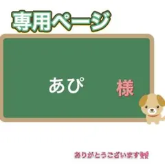 あぴ様 リクエスト 2点 まとめ商品