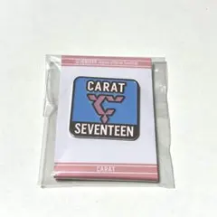 SEVENTEEN 入会特典 ピンバッジ