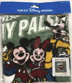 東京ディズニーリゾート ウォッシュタオル 約35cm x 約34cm