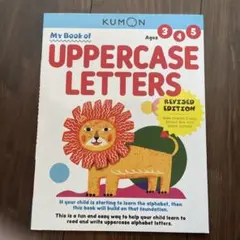 Item thumbnail for item 793504e9-79c6-4910-9dce-18db6530aee9