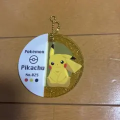 ピカチュウ　ミラー