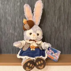上海ディズニー ステラルー 2024冬 ぬいぐるみss - メルカリ