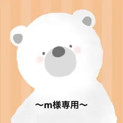 ⭐︎m様専用ページ⭐︎