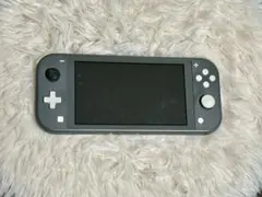 Nintendo Switch Lite 本体 グレー