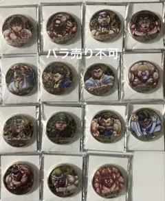 ◆刃牙博ッッ！ メタルアートバッジ 範馬刃牙 全15種セット ◇刃牙博ッッ！ メタルアートバッジ 範馬刃牙 全15種セット - メルカリ