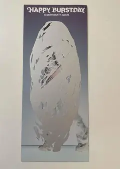 SEVENTEEN ドギョム スクラッチ