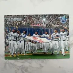 2010 中日ドラゴンズ 優勝記念 カルビー プロ野球カード - メルカリ