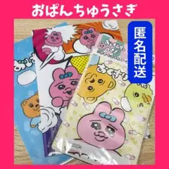 ❤️匿名配送❤️ おぱんちゅうさぎ ミニクリアファイル おくすり手帳