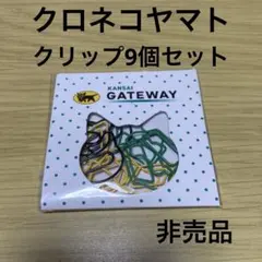 Item thumbnail for item bc595172-b590-4caf-9873-843d6fff9acb