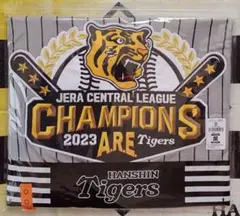 Item thumbnail for item d56be52b-586d-472f-83e8-cc6b02ae1a1f