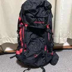 Item thumbnail for item d0f8f81d-d8a1-4d91-b68a-ddfc81a53d59