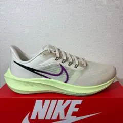 26.5cm AIR ZOOM PEGASUS 39 DH4071-101