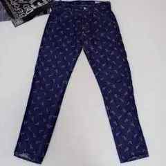 ✨タグ付未使用✨EVISU 5500 カモメ柄 ジャガード デニム W32のサムネイル