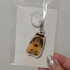 たれみみ稲荷チャーム