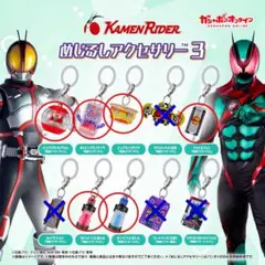 仮面ライダーめじるしアクセサリー3 6種セット