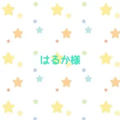 はるか様　手帳カバー(小)