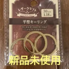 Item thumbnail for item cafa5361-ee7b-4e47-8fac-5d0ee27fbfec