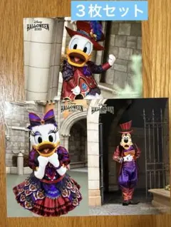 ディズニー　ハロウィン2025 フォト　写真