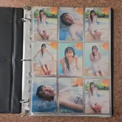 Item thumbnail for item 6ed2a011-bc4e-489f-a6be-4003108091da