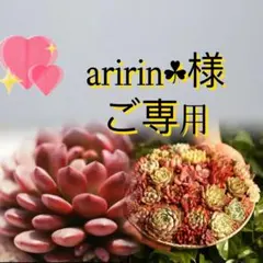 aririn☘様　ご専用