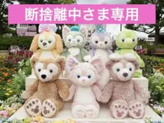 断捨離中さま限定