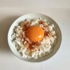 2026年最新】ながお食研 食品サンプルの人気アイテム - メルカリ