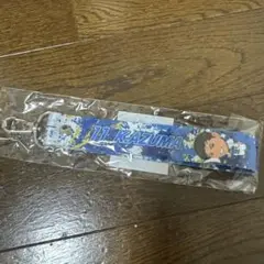 ボンフィンベルト　東11