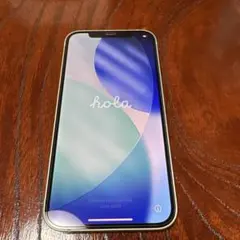 Apple iPhone 本体