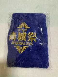 町田ゼルビア まちだ青城祭 SEIJOSAI 2025 リストバンド