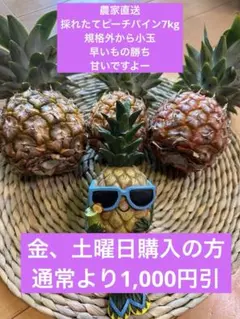 【注文後収穫】石垣島ピーチパイン16玉（送料込み） 石垣島産大玉ピーチパイン – i-shop石垣