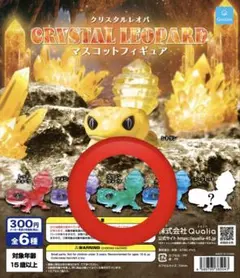 2026年最新】緑ドン～キラメキ！炎のオーロラ伝説～の人気アイテム