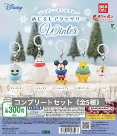 ディズニー めじるしアクセサリー Winter コンプリートセット