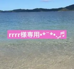 rrrr様専用ページ