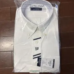 Item thumbnail for item 8f8e02e4-5fb5-4e0d-b33c-ca0053c732f9