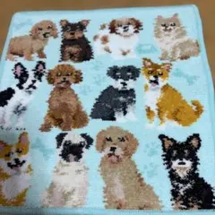 【B品】FEILER　フェイラー　ハンカチ　マイキュートパピー　新品　未使用