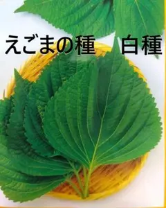 まいまい様 リクエスト 3点 まとめ商品