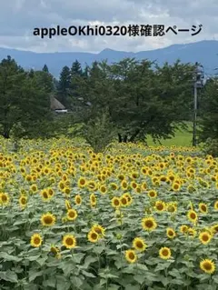 Item thumbnail for item a06cc69a-a59a-4b13-b2c0-1e18c572c405