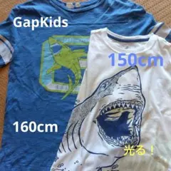 【GapKids】 Tシャツ 2枚セット