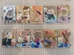 【専用ページ】さきと様専用　猫カフェMOCHA にゃんずトレカ