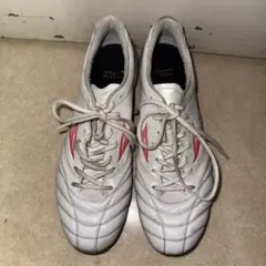 Mizuno モナルシーダネオ