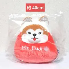 新品未使用タグ付 豆しば三兄弟富士山2 秋田犬 まさお ウルトラBIGぬいぐるみ
