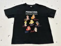 リトシー LITTC FLAP！ ディズニープリンセス サインT 140