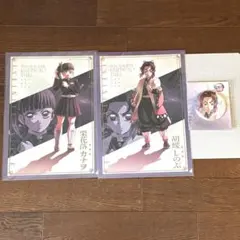 鬼滅の刃　無限城編　描き下ろしイラスト　クリアファイル　缶バッジ　しのぶ　カナヲ