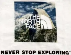 THE NORTH FACE バックプリントT 白 L 美品